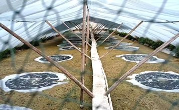 養(yǎng)殖增氧機：輕松應對夏季不同情況